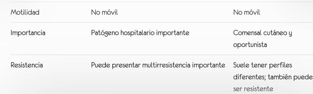 Identificación de Acinetobacter