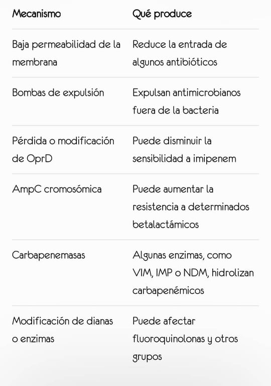 Resistencia de Pseudomonas aeruginosa