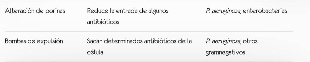 Halo de inhibición