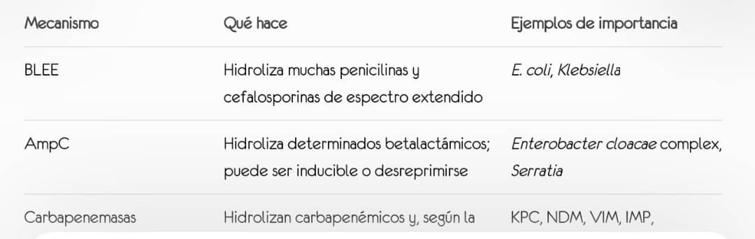 Antibiograma y resistencia antimicrobiana