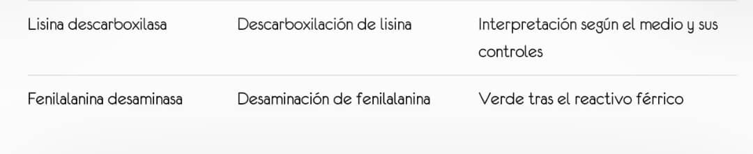 Pruebas TSI y similares