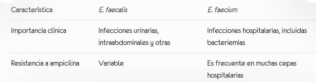 Diferenciación de enterococos