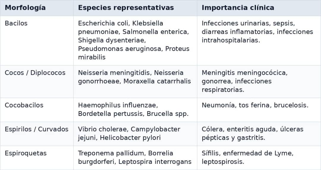 Bacilos gramnegativos y no fermentadores