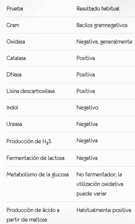 Lectura de pruebas