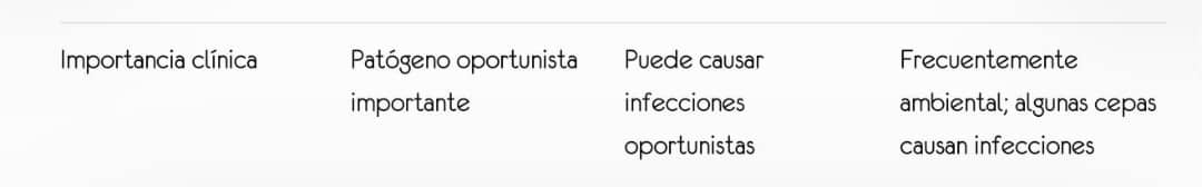 Características de Pseudomonas