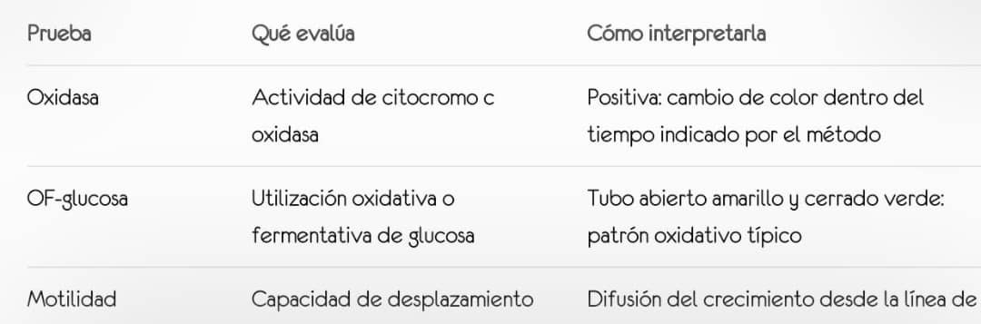 Comparación de pseudomonas fluorescentes