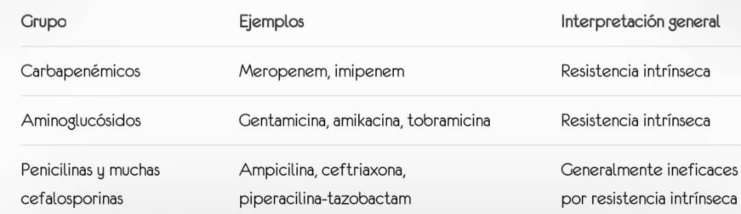 Mecanismos de resistencia en no fermentadores