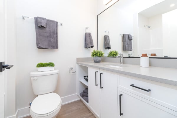 Trailside at the Lake and The Henson