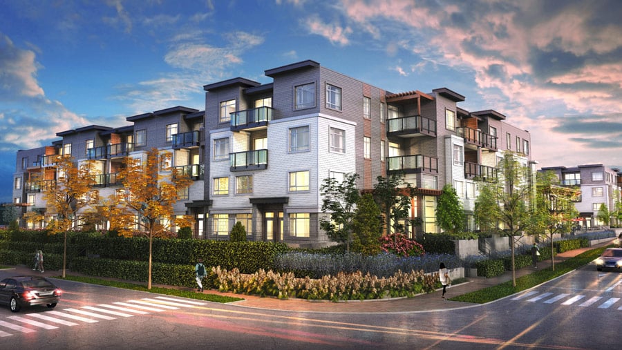 Mandarin Walk - Cover Photo