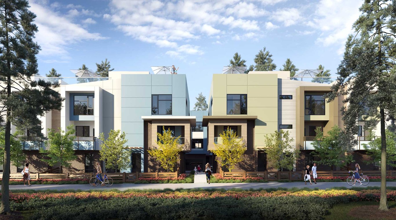 Stellar Panorama - Cover Photo