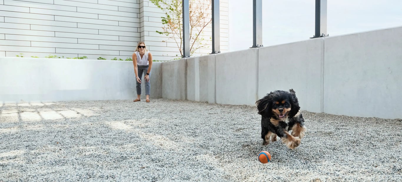 The City of Lougheed – Tower 3