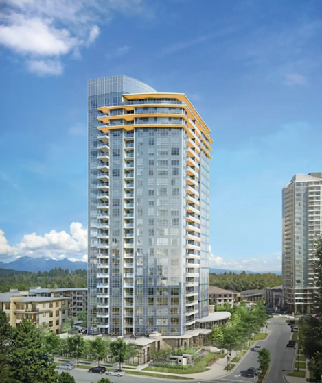 The Windsor - Cover Photo