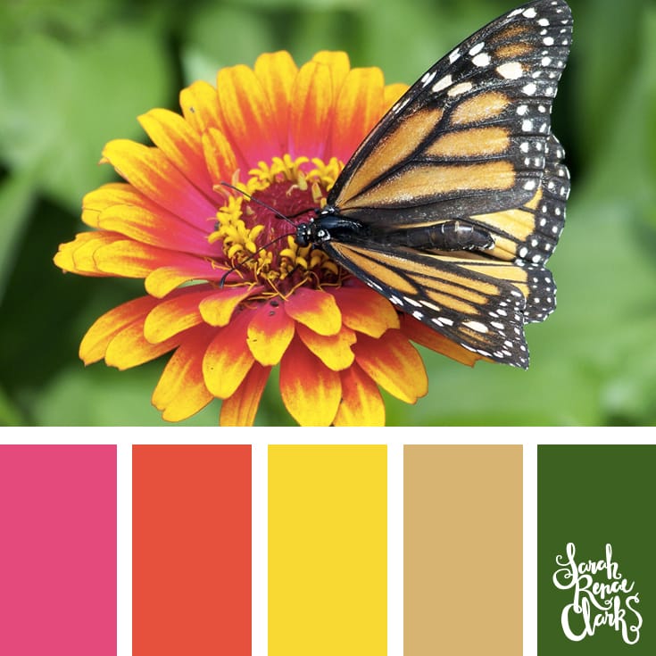 30 Color Palettes Inspired by the Pantone Spring 2017 Color Trends | See all 30 color schemes for inspiration at http://sarahrenaeclark.com 30 Color Palettes Inspired by the Pantone Spring 2017 Color Trends | See all 30 color schemes for inspiration at http://sarahrenaeclark.com
