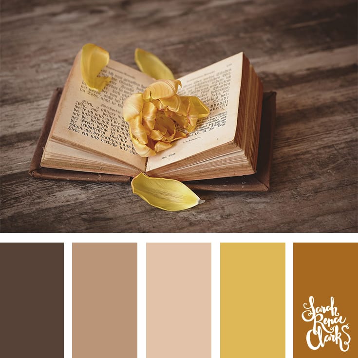 30 Color Palettes Inspired by the Pantone Spring 2017 Color Trends | See all 30 color schemes for inspiration at http://sarahrenaeclark.com 30 Color Palettes Inspired by the Pantone Spring 2017 Color Trends | See all 30 color schemes for inspiration at http://sarahrenaeclark.com