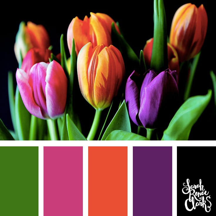 30 Color Palettes Inspired by the Pantone Spring 2017 Color Trends | See all 30 color schemes for inspiration at http://sarahrenaeclark.com 30 Color Palettes Inspired by the Pantone Spring 2017 Color Trends | See all 30 color schemes for inspiration at http://sarahrenaeclark.com