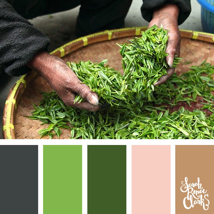 30 Color Palettes Inspired by the Pantone Spring 2017 Color Trends | See all 30 color schemes for inspiration at http://sarahrenaeclark.com 30 Color Palettes Inspired by the Pantone Spring 2017 Color Trends | See all 30 color schemes for inspiration at http://sarahrenaeclark.com