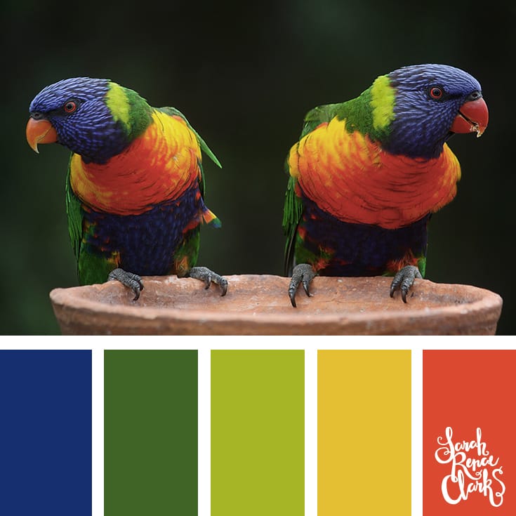 30 Color Palettes Inspired by the Pantone Spring 2017 Color Trends | See all 30 color schemes for inspiration at http://sarahrenaeclark.com 30 Color Palettes Inspired by the Pantone Spring 2017 Color Trends | See all 30 color schemes for inspiration at http://sarahrenaeclark.com