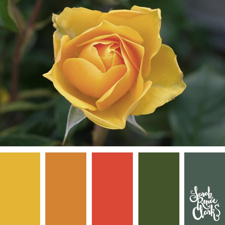 30 Color Palettes Inspired by the Pantone Spring 2017 Color Trends | See all 30 color schemes for inspiration at http://sarahrenaeclark.com 30 Color Palettes Inspired by the Pantone Spring 2017 Color Trends | See all 30 color schemes for inspiration at http://sarahrenaeclark.com