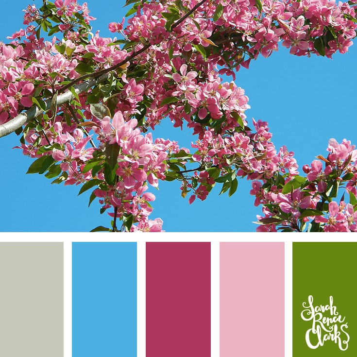 30 Color Palettes Inspired by the Pantone Spring 2017 Color Trends | See all 30 color schemes for inspiration at http://sarahrenaeclark.com 30 Color Palettes Inspired by the Pantone Spring 2017 Color Trends | See all 30 color schemes for inspiration at http://sarahrenaeclark.com