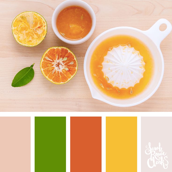 30 Color Palettes Inspired by the Pantone Spring 2017 Color Trends | See all 30 color schemes for inspiration at http://sarahrenaeclark.com 30 Color Palettes Inspired by the Pantone Spring 2017 Color Trends | See all 30 color schemes for inspiration at http://sarahrenaeclark.com