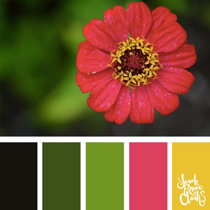 30 Color Palettes Inspired by the Pantone Spring 2017 Color Trends | See all 30 color schemes for inspiration at http://sarahrenaeclark.com 30 Color Palettes Inspired by the Pantone Spring 2017 Color Trends | See all 30 color schemes for inspiration at http://sarahrenaeclark.com