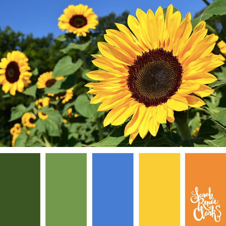 30 Color Palettes Inspired by the Pantone Spring 2017 Color Trends | See all 30 color schemes for inspiration at http://sarahrenaeclark.com 30 Color Palettes Inspired by the Pantone Spring 2017 Color Trends | See all 30 color schemes for inspiration at http://sarahrenaeclark.com