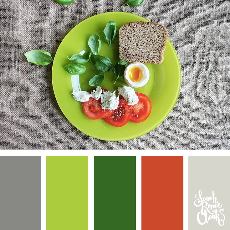 30 Color Palettes Inspired by the Pantone Spring 2017 Color Trends | See all 30 color schemes for inspiration at http://sarahrenaeclark.com 30 Color Palettes Inspired by the Pantone Spring 2017 Color Trends | See all 30 color schemes for inspiration at http://sarahrenaeclark.com