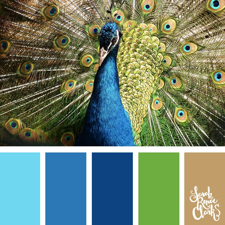 30 Color Palettes Inspired by the Pantone Spring 2017 Color Trends | See all 30 color schemes for inspiration at http://sarahrenaeclark.com