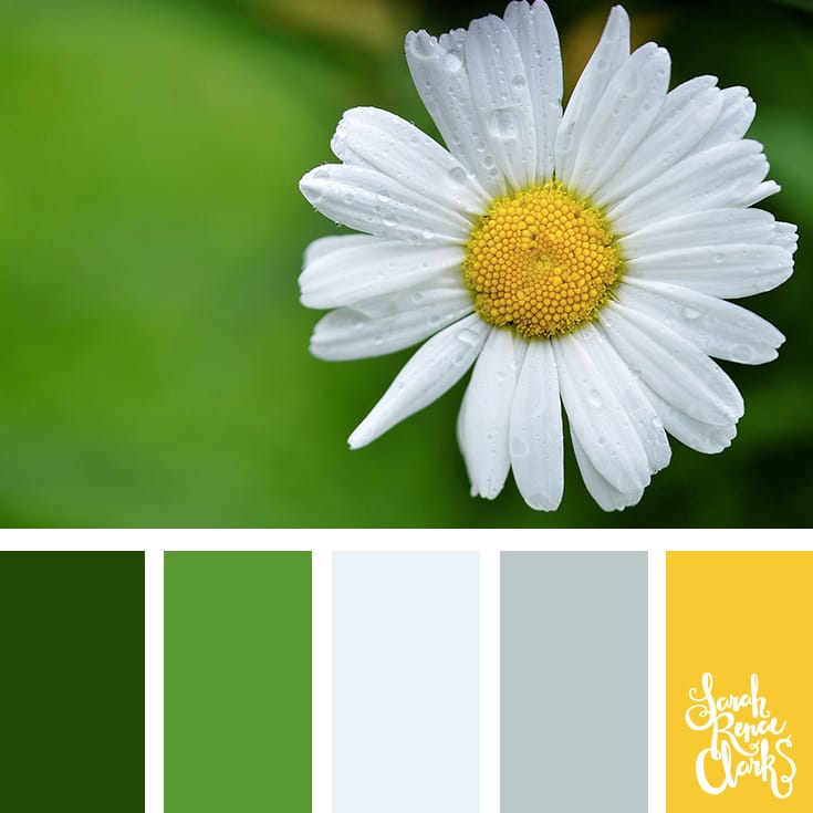 30 Color Palettes Inspired by the Pantone Spring 2017 Color Trends | See all 30 color schemes for inspiration at http://sarahrenaeclark.com 30 Color Palettes Inspired by the Pantone Spring 2017 Color Trends | See all 30 color schemes for inspiration at http://sarahrenaeclark.com