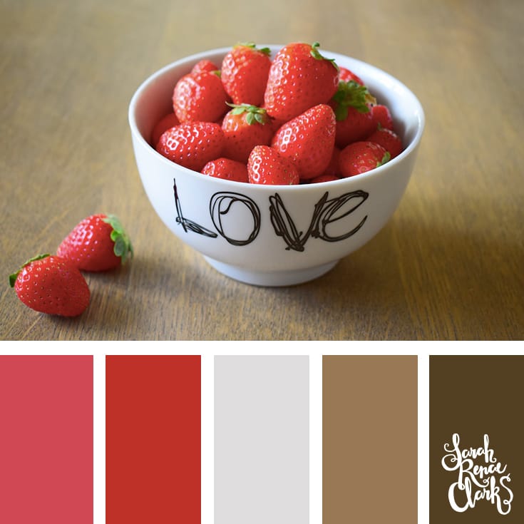 20 Color Ideas For Valentine's Day | See all 20 color schemes for inspiration at http://sarahrenaeclark.com