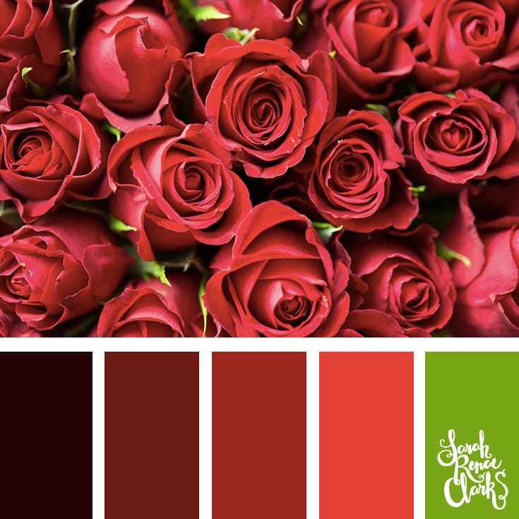 20 Color Ideas For Valentine's Day | See all 20 color schemes for inspiration at http://sarahrenaeclark.com