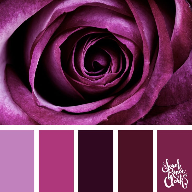 20 Color Ideas For Valentine's Day | See all 20 color schemes for inspiration at http://sarahrenaeclark.com