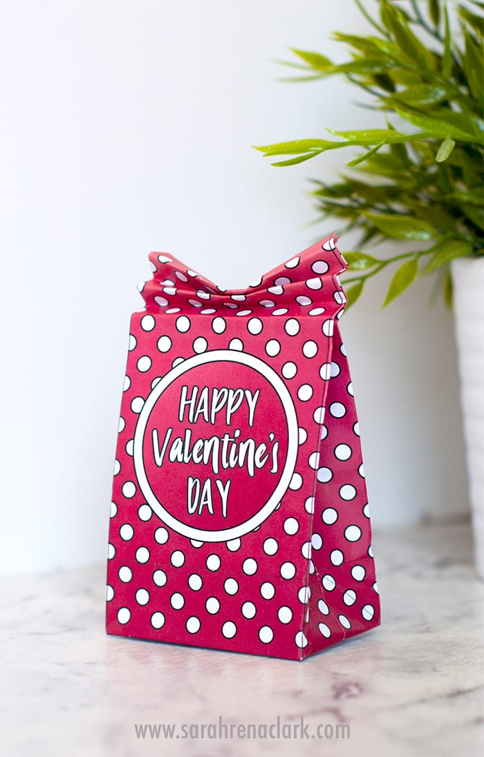 Valentines-Day-Gift-Box-Final DIY Valentine's Day Paper Gift Bags | Free Template and Tutorial | Learn how to make your own cute coloring page paper gift bags - what a great gift idea for Valentine's Day! Watch the video instructions and download your free printable template at www.sarahrenaeclark.com| Valentine's Day Craft, DIY Valentine's Day, DIY paper gift bag, DIY gift bag, Valentine’s Day activity, DIY craft, free craft template, DIY gift bag tutorial, video tutorial, free template, free coloring page, free Valentine’s Day coloring pages, free printable, printable template