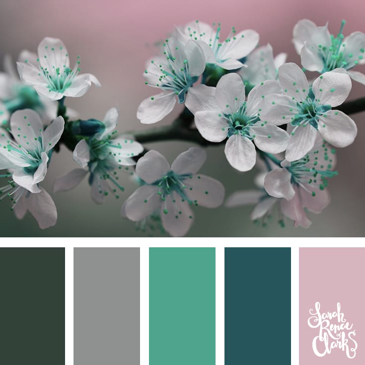 Color-Palette-103-flowers Soft pink, teal and gray color Inspiration | Click for more color combinations and color palettes inspired by the Pantone Fall 2017 Color Trends, plus other coloring inspiration at http://sarahrenaeclark.com | Colour palettes, colour schemes, color therapy, mood board, color hue
