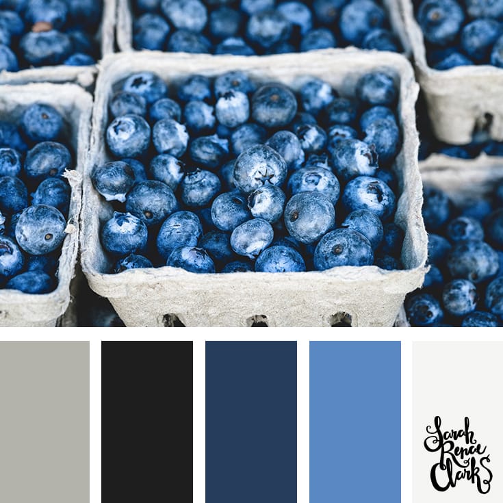 Color-Palette-106-berries blue and gray color palette | Click for more color combinations and color palettes inspired by the Pantone Fall 2017 Color Trends, plus other coloring inspiration at http://sarahrenaeclark.com | Colour palettes, colour schemes, color therapy, mood board, color hue