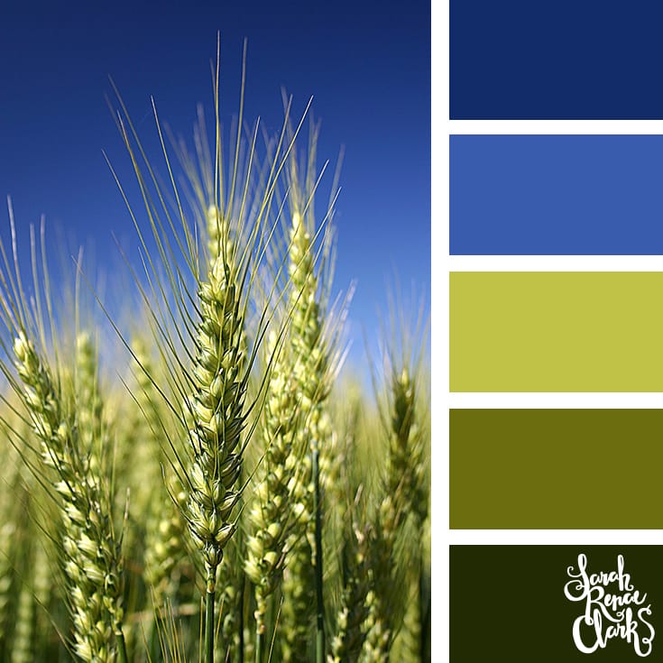 Color-Palette-108-field Bright greens and blues | Click for more color combinations and color palettes inspired by the Pantone Fall 2017 Color Trends, plus other coloring inspiration at http://sarahrenaeclark.com | Colour palettes, colour schemes, color therapy, mood board, color hue