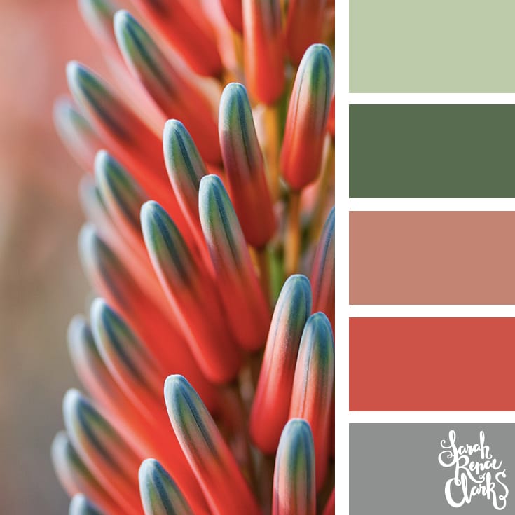 Color-Palette-113-flower Calming tones | Click for more color combinations and color palettes inspired by the Pantone Fall 2017 Color Trends, plus other coloring inspiration at http://sarahrenaeclark.com | Colour palettes, colour schemes, color therapy, mood board, color hue