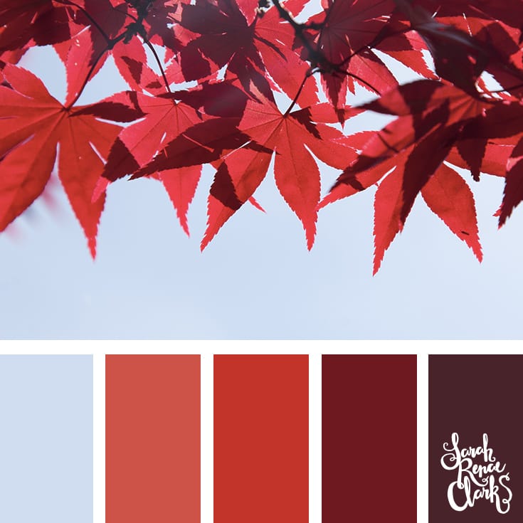 Color-Palette-114-leaves Red autumn leaves - color Inspiration | Click for more color combinations and color palettes inspired by the Pantone Fall 2017 Color Trends, plus other coloring inspiration at http://sarahrenaeclark.com | Colour palettes, colour schemes, color therapy, mood board, color hue