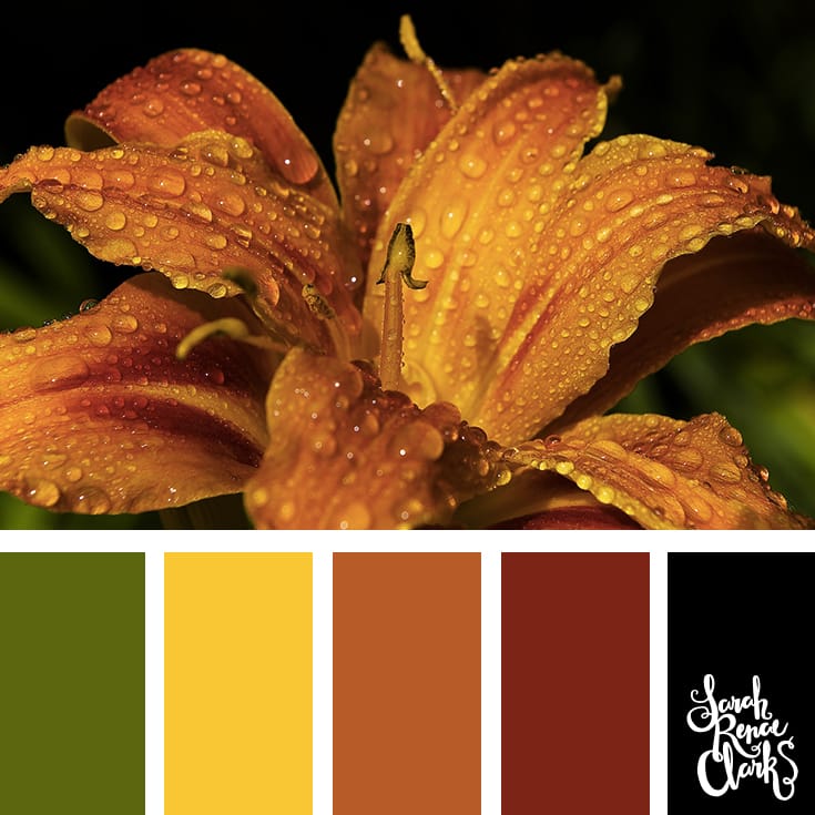 Color-Palette-116-flower Autumn color Inspiration | Click for more color combinations and color palettes inspired by the Pantone Fall 2017 Color Trends, plus other coloring inspiration at http://sarahrenaeclark.com | Colour palettes, colour schemes, color therapy, mood board, color hue