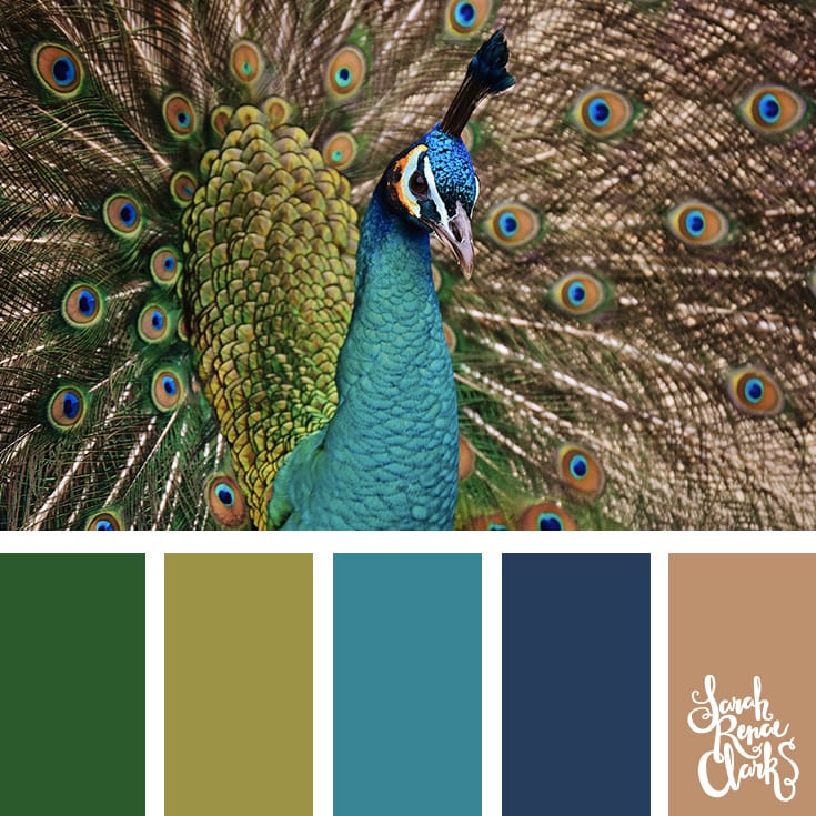 Color-Palette-119-peacock Green and blue color Inspiration | Click for more color combinations and color palettes inspired by the Pantone Fall 2017 Color Trends, plus other coloring inspiration at http://sarahrenaeclark.com | Colour palettes, colour schemes, color therapy, mood board, color hue