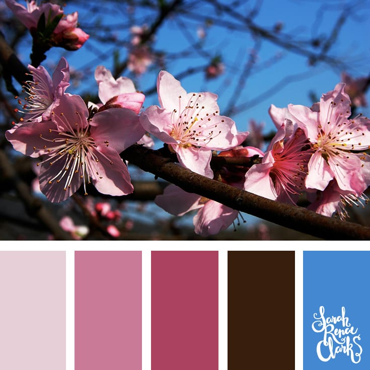 Color-Palette-120-pink Pretty pink color Inspiration | Click for more color combinations and color palettes inspired by the Pantone Fall 2017 Color Trends, plus other coloring inspiration at http://sarahrenaeclark.com | Colour palettes, colour schemes, color therapy, mood board, color hue