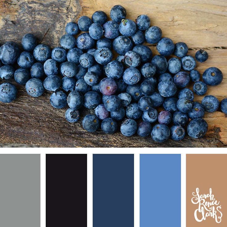 Color-Palette-121-blueberries Blueberries color Inspiration | Click for more color combinations and color palettes inspired by the Pantone Fall 2017 Color Trends, plus other coloring inspiration at http://sarahrenaeclark.com | Colour palettes, colour schemes, color therapy, mood board, color hue