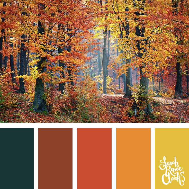 Into the woods - Fall color scheme | Click for more fall color combinations, mood boards and seasonal color palettes at http://sarahrenaeclark.com