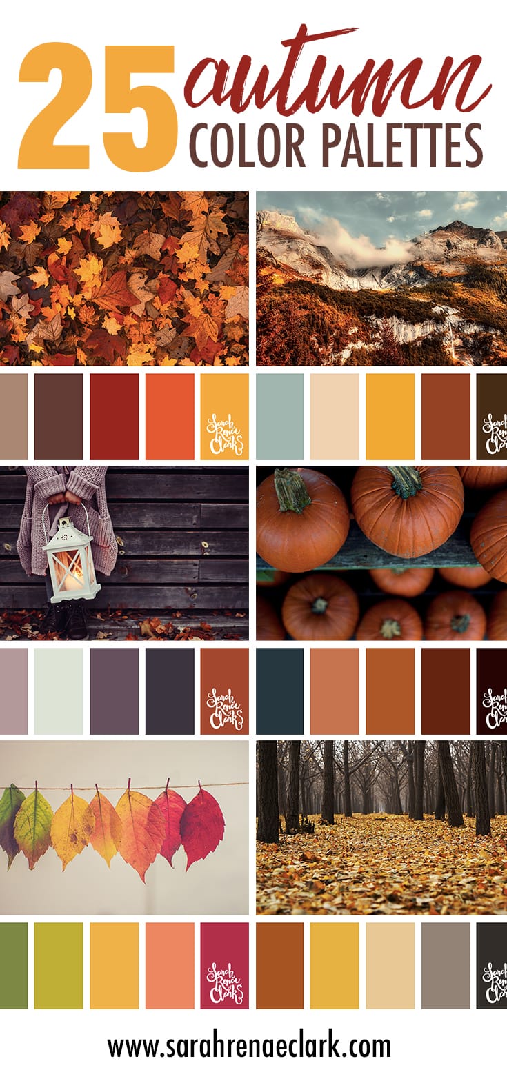 25 Autumn color schemes | Click for more fall color combinations, mood boards and seasonal color palettes at http://sarahrenaeclark.com