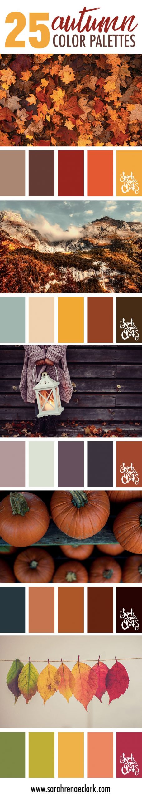 25 Autumn color schemes | Click for more fall color combinations, mood boards and seasonal color palettes at http://sarahrenaeclark.com
