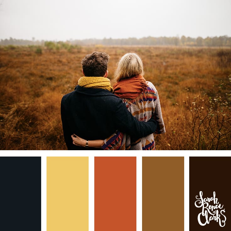 Field colors // Winter Color Schemes // Click for more winter color combinations, mood boards and seasonal color palettes at http://sarahrenaeclark.com #color #colorscheme #colorinspiration Field colors // Winter Color Schemes // Click for more winter color combinations, mood boards and seasonal color palettes at http://sarahrenaeclark.com #color #colorscheme #colorinspiration