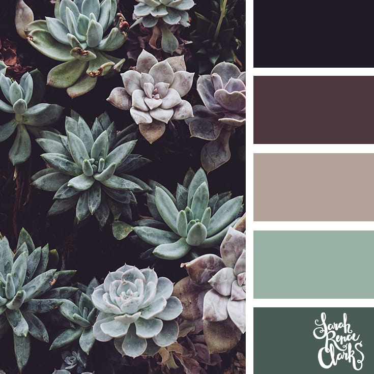 Succulent colors // Winter Color Schemes // Click for more winter color combinations, mood boards and seasonal color palettes at http://sarahrenaeclark.com #color #colorscheme #colorinspiration
