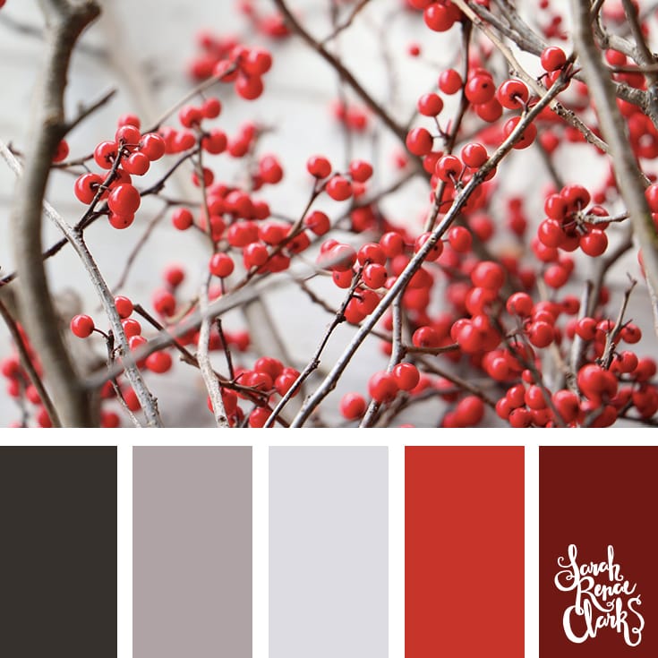 Berry red color inspiration // Christmas Color Schemes // Click for more Christmas color palettes, mood boards and color combinations at https://sarahrenaeclark.com #color #colorscheme #colorpalette Berry red color inspiration // Christmas Color Schemes // Click for more Christmas color palettes, mood boards and color combinations at https://sarahrenaeclark.com #color #colorscheme #colorpalette