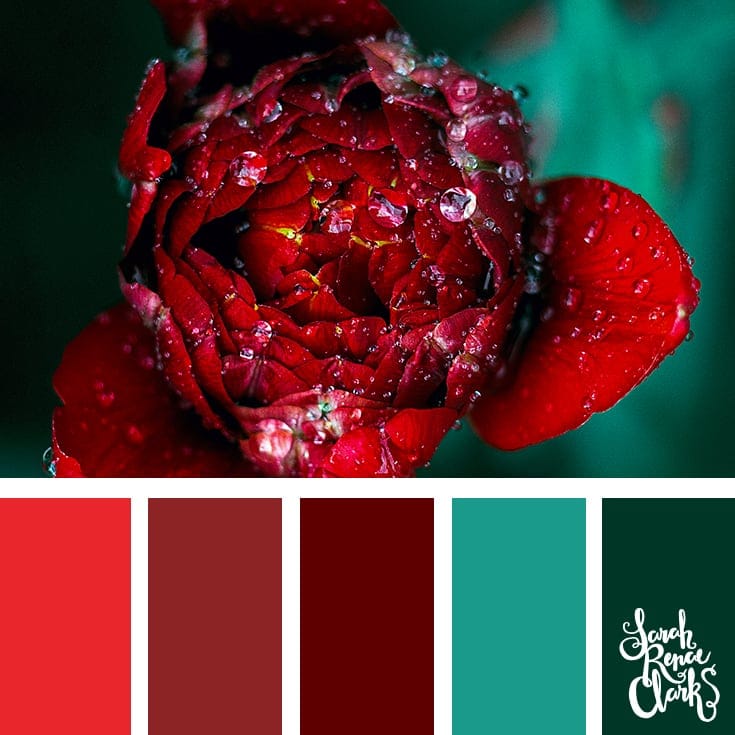 Red and teal color inspo | 25 color palettes inspired by the PANTONE color trend predictions for Spring 2018 - Use these color schemes as inspiration for your next colorful project! Find more color palettes, mood boards and schemes at www.sarahrenaeclark.com #color #colorpalette