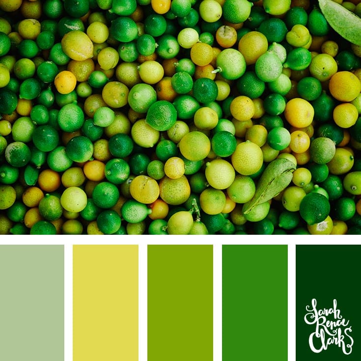 Greenery | 25 color palettes inspired by the PANTONE color trend predictions for Spring 2018 - Use these color schemes as inspiration for your next colorful project! Find more color palettes, mood boards and schemes at www.sarahrenaeclark.com #color #colorpalette